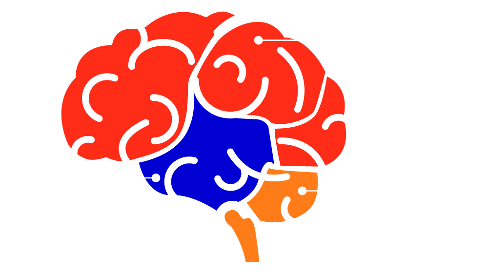 MARKETING PROMOCIONAL 2 Cerebro Trino